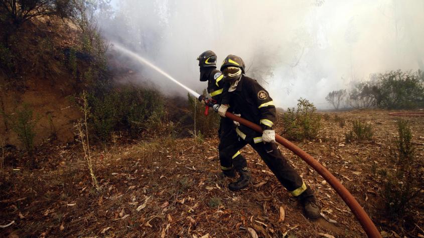 Declaran alerta roja para la comuna de Castro por incendio forestal: 9 hectáreas afectadas por la emergencia