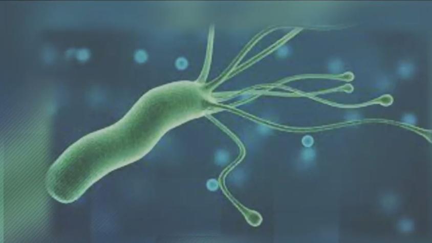 Helicobacter pylori: La silenciosa bacteria que puede llegar a provocar cáncer gástrico