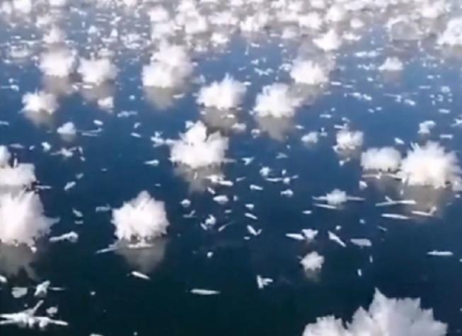 Espectáculo natural: Se viralizan imágenes de las "flores de hielo" en la Siberia