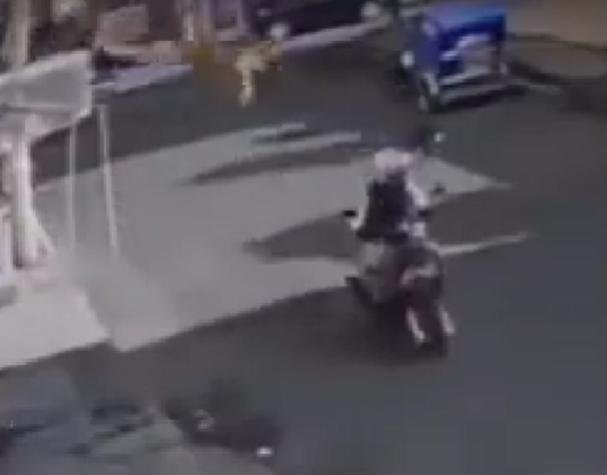 Captan a un perro lanzándose desde azotea: chocó contra un motociclista y lo derribó