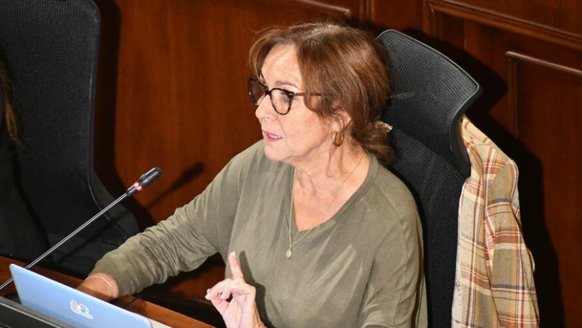 Comisionada experta DC anuncia voto “en contra” de la propuesta del Consejo Constitucional