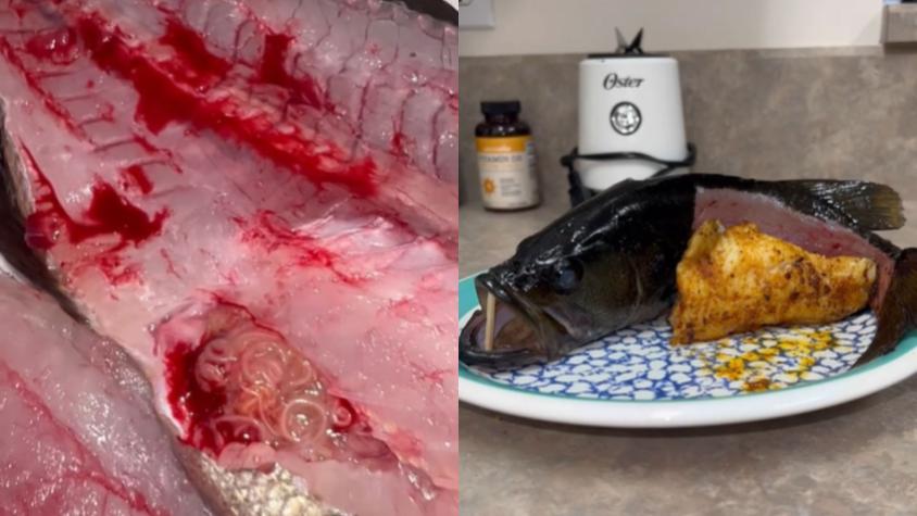 TikToker se infecta tras comer pescado lleno de parásitos para redes sociales: "No me arrepiento de nada, todo sea por entretenerlos"