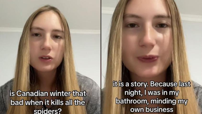 Canadiense se hace viral al confesar su odio por las arañas de Chile: "Pude haber muerto en el baño"
