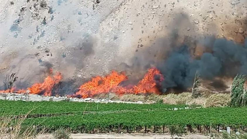 Incendio forestal afectó a 2 casas en Paihuano, región de Coquimbo