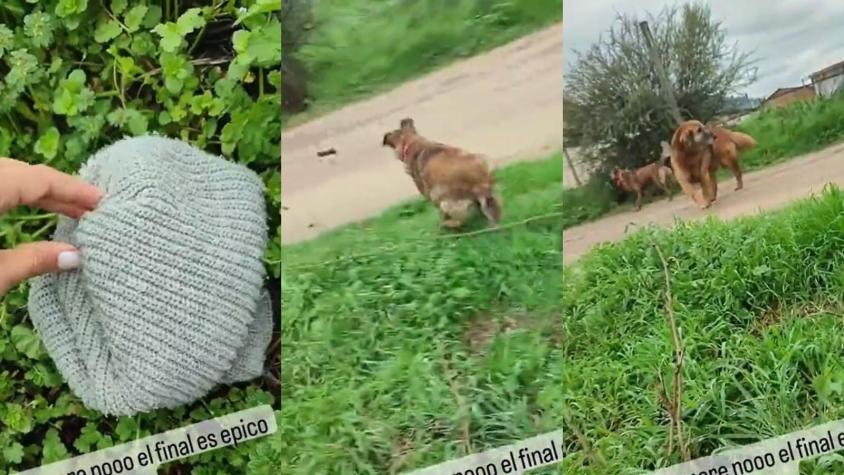 Final inesperado: Fue a liberar un ratón con el gorro de su ex y terminó de la peor manera