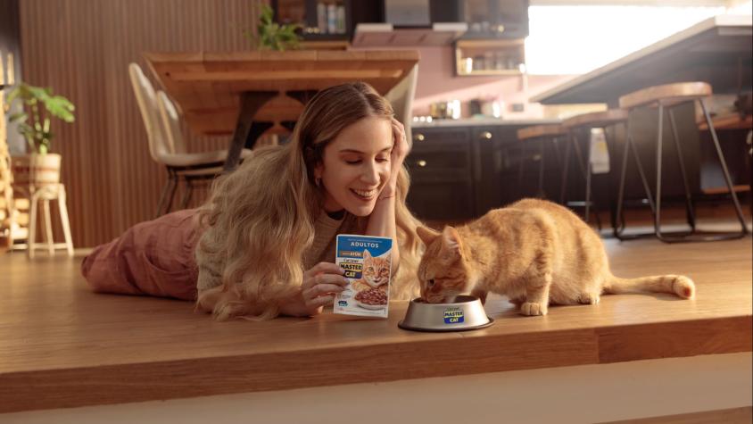 Alimentos húmedos para gatos: irresistibles y con beneficios para cada etapa de su vida