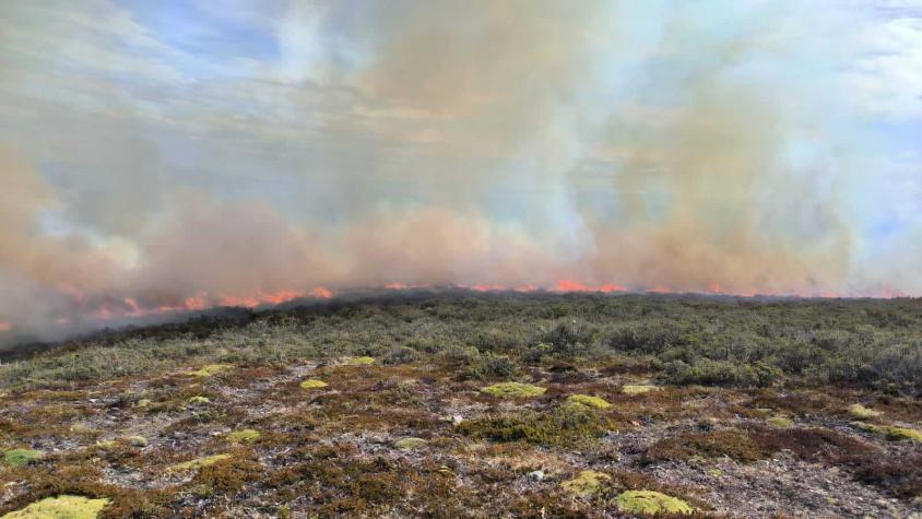 Declaran Alerta Roja por incendio forestal en Porvenir: Van 1000 hectáreas afectadas