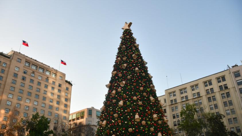 Según la tradición: ¿Qué día se arma el árbol de Navidad y cuándo se quita?