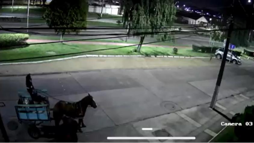 Banda roba en una carreta a caballo en Talcahuano: Vecinos denuncian al menos tres delitos