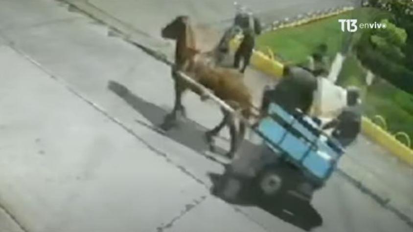 "Banda del carretón": Buscan en Talcahuano a grupo que roba y escapa en una carreta a caballo