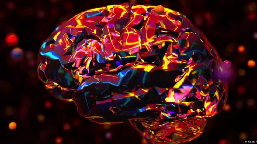Estudio: Cerebro repara en 7 meses el daño por alcoholismo