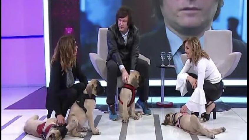 Laboratorio que clonó a perro de Milei publicó curioso mensaje tras elecciones de Argentina