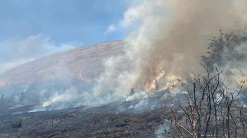 Declaran Alerta Roja en Rapa Nui (Isla de Pascua) por incendio forestal