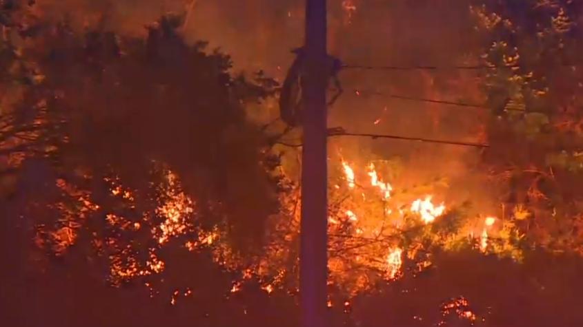 Calor extremo primaveral en los valles centrales alerta por posibles incendios forestales
