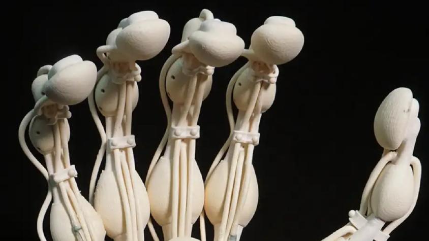 Crean primera mano robot con huesos, ligamentos y tendones