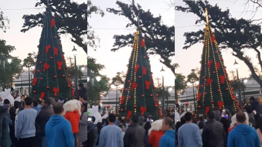 Sacó carcajadas: cuestionado árbol de Navidad de Melipilla se convirtió en viral