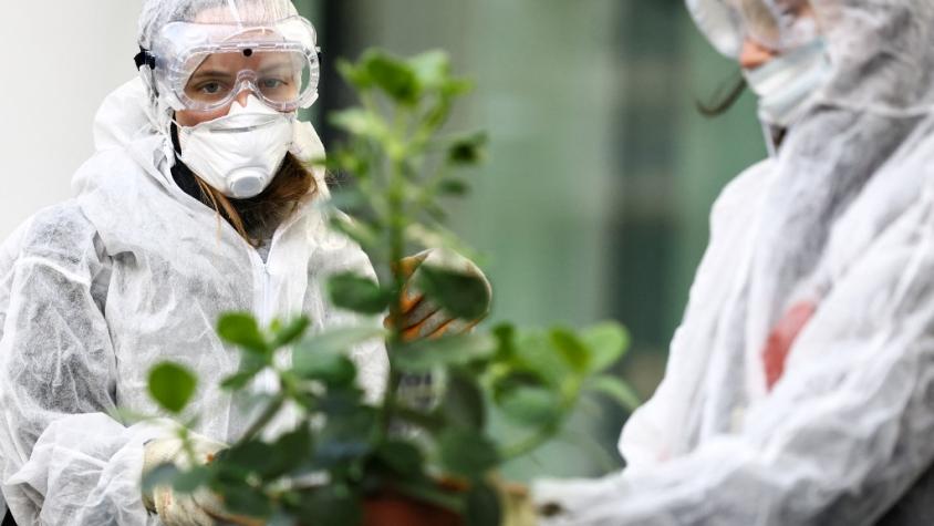 Monsanto condenado en EEUU a pagar USD 857 millones por químicos en una escuela