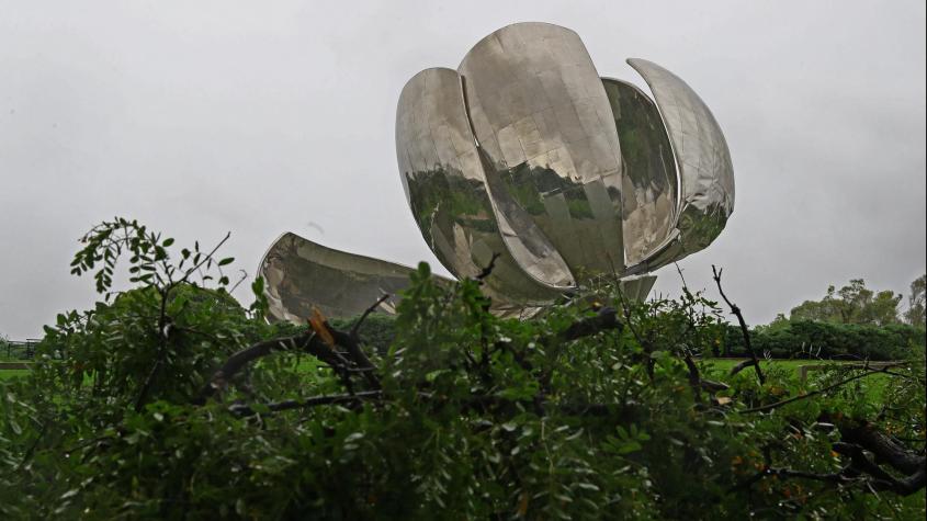 Floralis Genérica: cómo es el símbolo de Buenos Aires que colapsó con los vientos huracanados