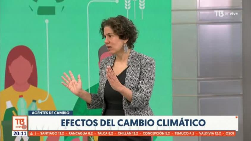 Agentes de Cambio: Ministra del Medio Ambiente explica la posición de Chile en la COP28