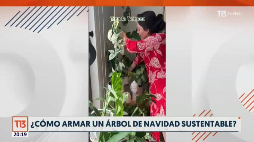 ¿Cómo hacer un árbol de Navidad sustentable? 