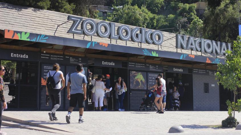 Zoológico Nacional con acceso gratuito: Revisa cómo obtener tickets
