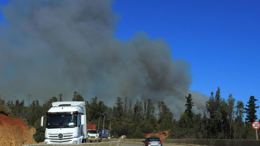 Decretan alerta roja en Valparaíso por incendio forestal que amenaza a viviendas