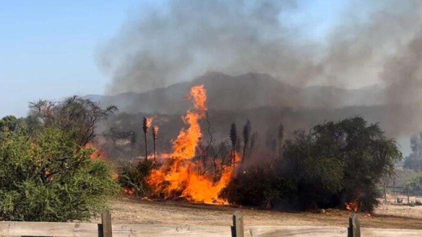 Decretan prisión preventiva para sospechoso que habría iniciado incendio forestal en Quilpué