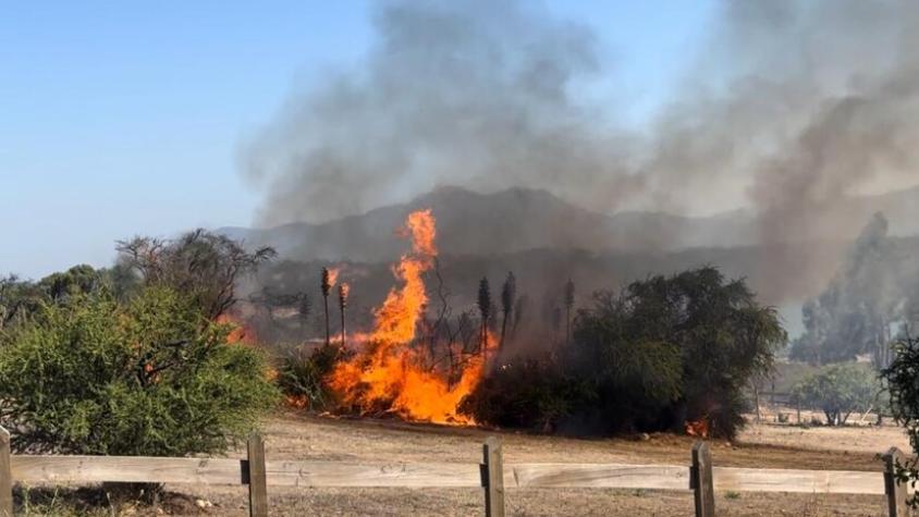 ¡Alerta SAE! Ordenan evacuar sector de Las Mellizas de Limache por incendio forestal