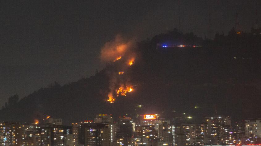 Incendio en Cerro San Cristóbal: Parquemet se refirió a estado de salud de los animales del zoológico