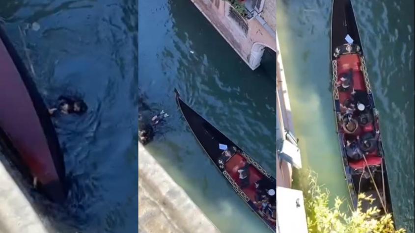 Por porfiados: Turistas caen a las frías aguas de Venecia por no hacer caso a gondolero