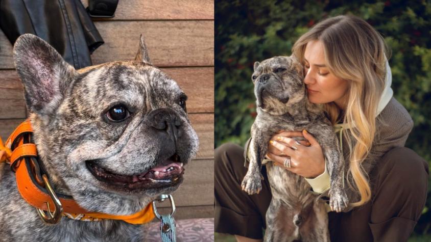 “No tengo palabras”: La triste despedida de Kika Silva a su perro "Gin"