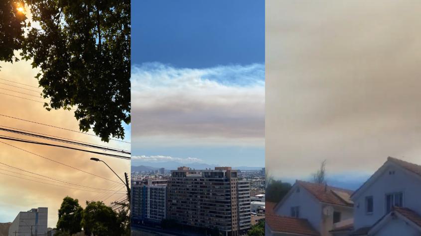 Incendio forestal en Quilpué: Columna de humo es visible desde centro de Santiago y San Bernardo