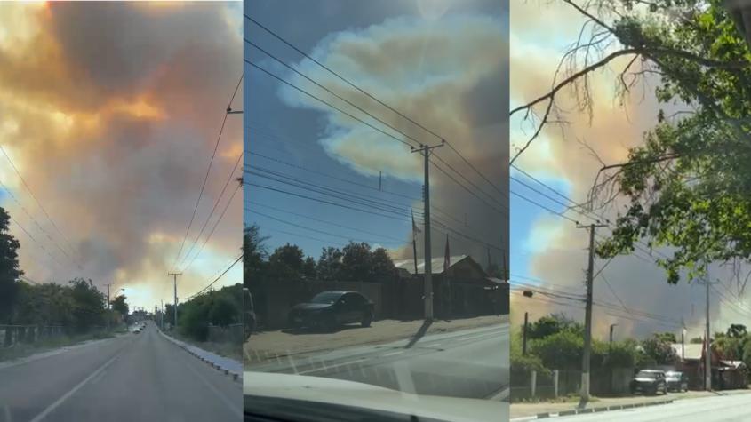 ¡Alerta SAE! Senapred ordena evacuar sector Limachito de Limache por incendio forestal