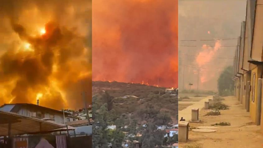 Los videos que muestran el avance del incendio forestal en Limache