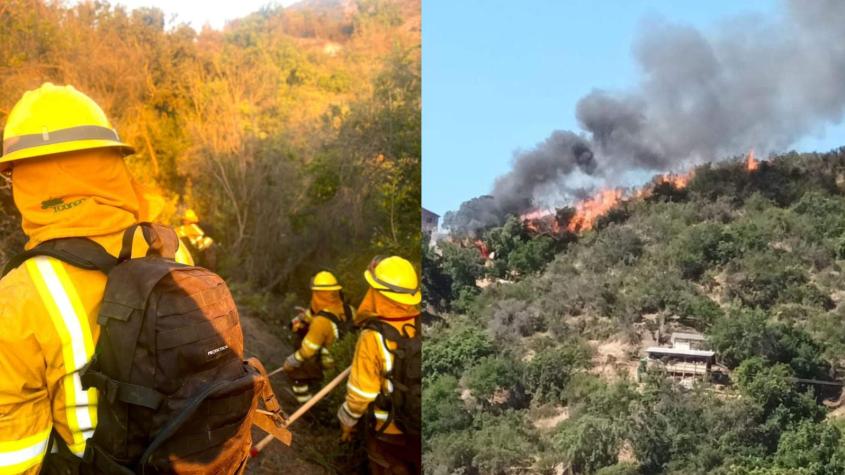 Incendios en Marga Marga: Conaf confirma más de 1.600 hectáreas quemadas entre Quilpué y Olmué