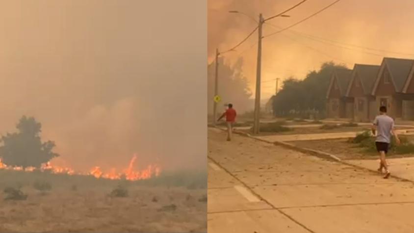 Alerta SAE por incendio forestal en Limache: Fuego se acerca a zona residencial