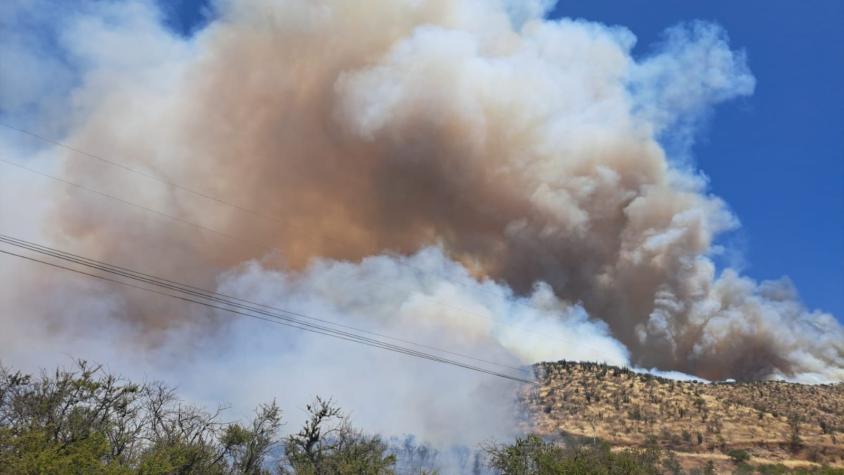 "Presenta comportamiento extremo": Decretan alerta roja para Curacaví por incendio forestal en Cuesta Barriga