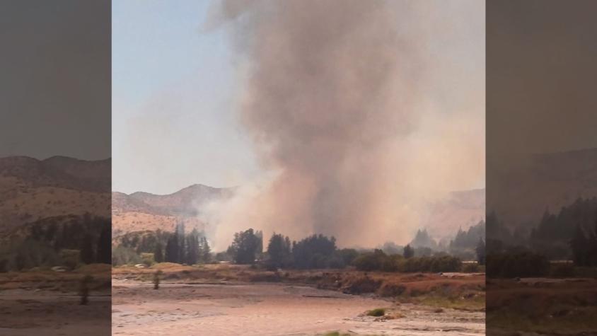 "Por amenaza a viviendas": Decretan alerta roja por incendio forestal en San Bernardo