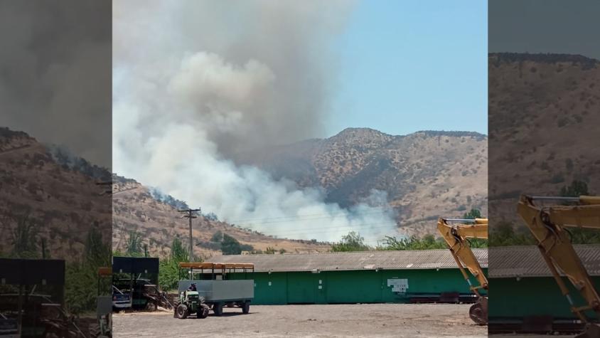 "Con rápida propagación y avance": Incendio forestal afecta a Colina