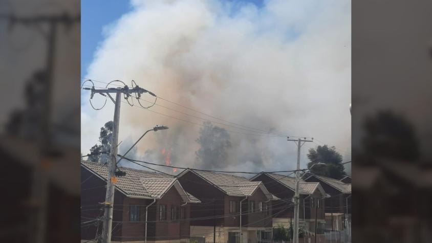 Alerta roja para Villa Alemana por incendio forestal: Fuego se desarrolla cercano a viviendas