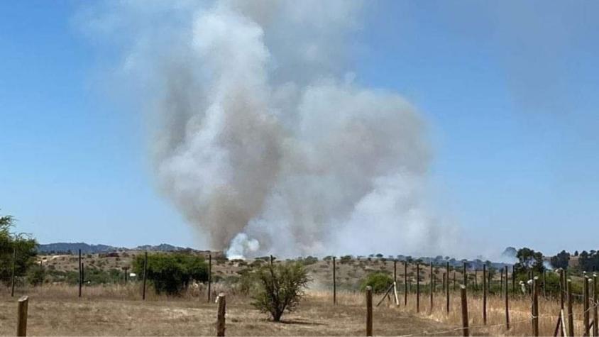 Alerta roja para Marchigüe por incendio forestal: Ordenan evacuar sector de la comuna