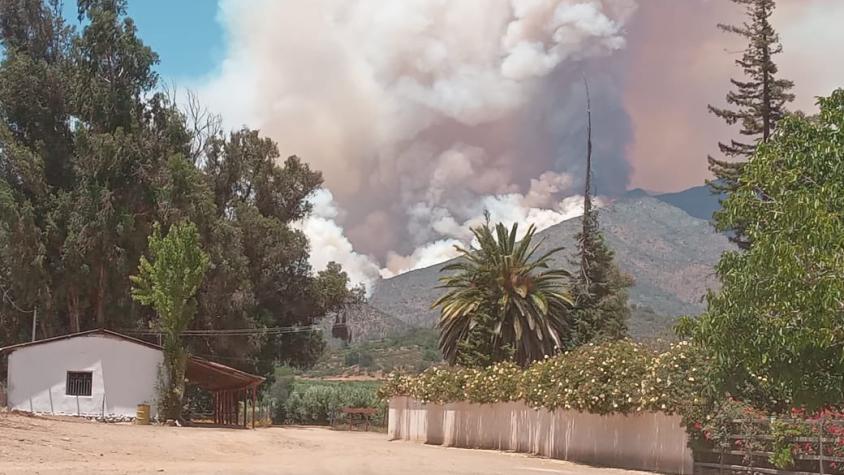 Declaran alerta amarilla por incendio forestal en Quilpué
