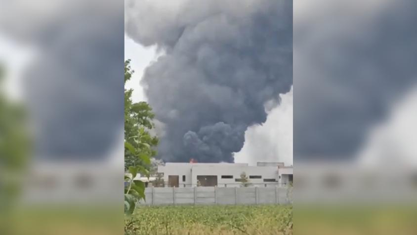 Gigantesca columna de humo por incendio en empresa de packing en la región de O'Higgins