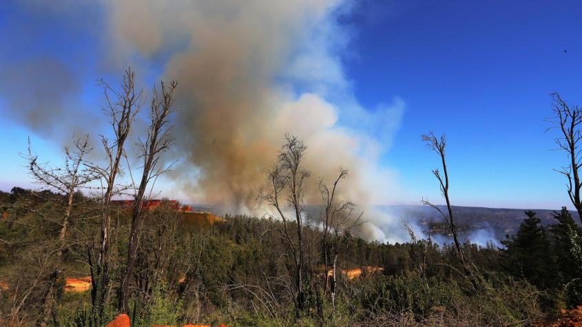 Por amenaza de incendios forestales: Declaran Alerta Temprana Preventiva para la región de Valparaíso