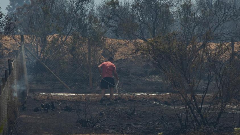 Director de Conaf RM advirtió que incendios forestales serán peores que el año pasado: “Habrá mayor simultaneidad”