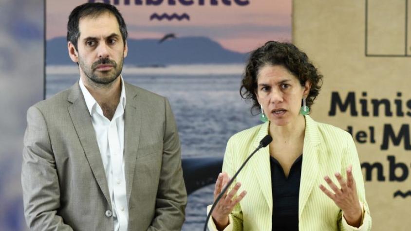 El nuevo traspié de los ministros Nicolás Grau y Maisa Rojas: no registraron por Ley de Lobby encuentro con empresarios y diputados RN enviaron oficio a Contraloría