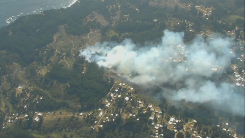 Senapred ordena evacuar sectores de Valparaíso por incendio forestal: Comuna está en alerta roja
