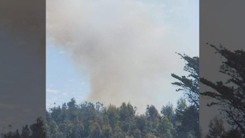 Senapred decreta alerta roja para Valparaíso por incendio forestal