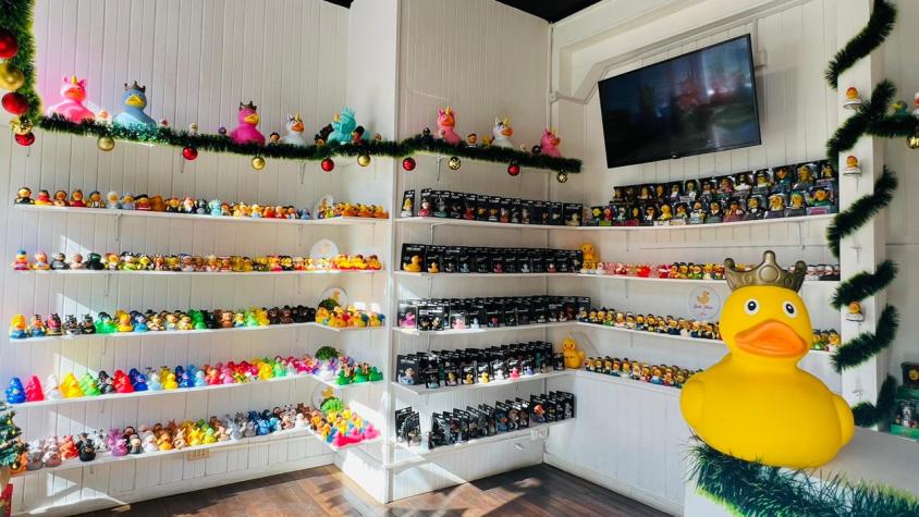 Duck House: La tienda de patitos de goma que revoluciona Puerto Varas 