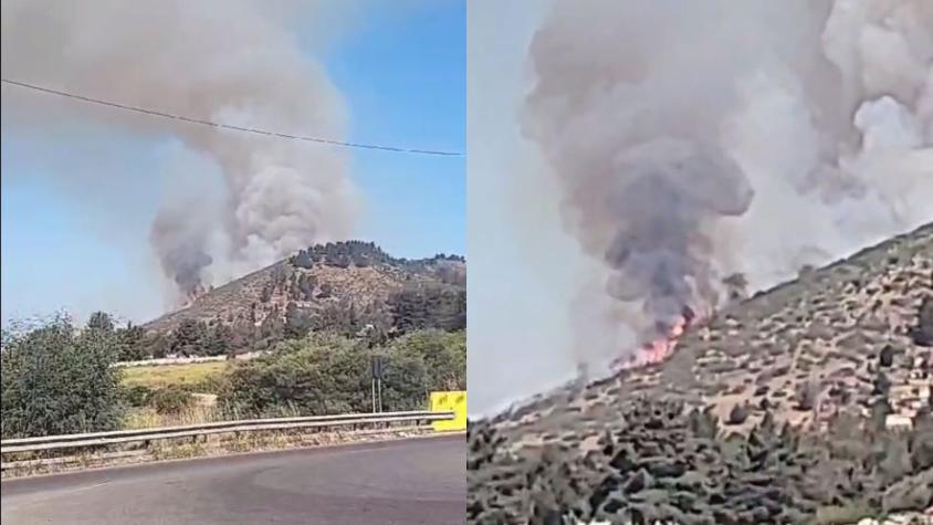 Decretan Alerta Roja en Concón y Viña del Mar: incendio forestal afecta a 30 hectáreas 